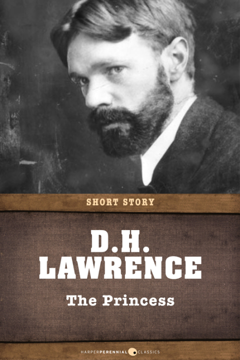 Cover image for book The Princess