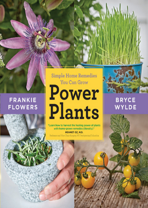 Cover image for book Power Plants
