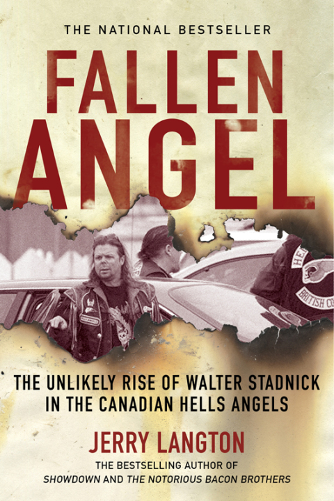 Cover image for book Fallen Angel
