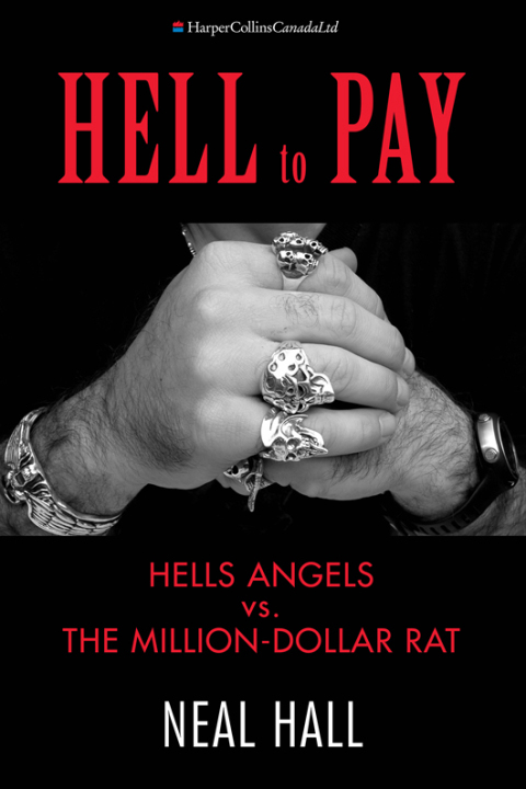 Cover image for book Hell To Pay