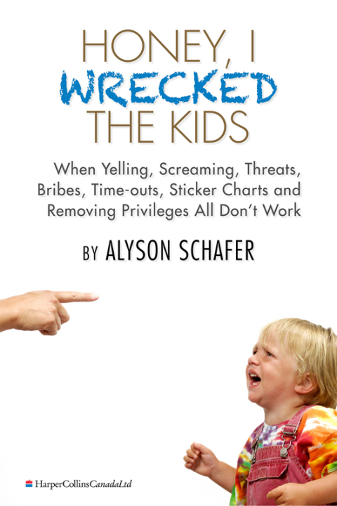 Cover image for book Honey, I Wrecked The Kids