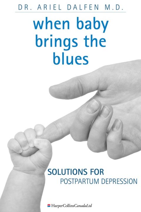 Cover image for book When Baby Brings The Blues