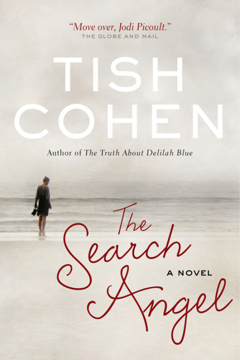 Cover image for book The Search Angel