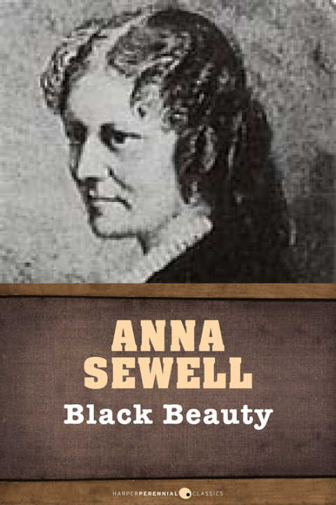 Cover image for book Black Beauty