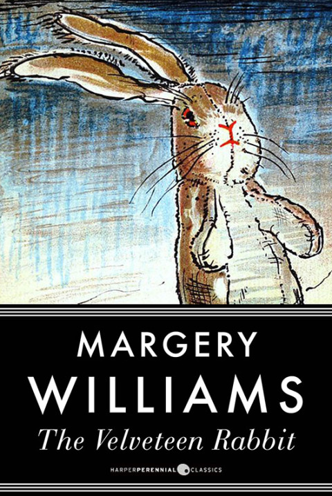Cover image for book The Velveteen Rabbit