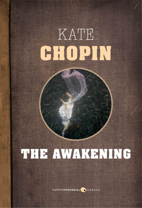 Cover image for book The Awakening