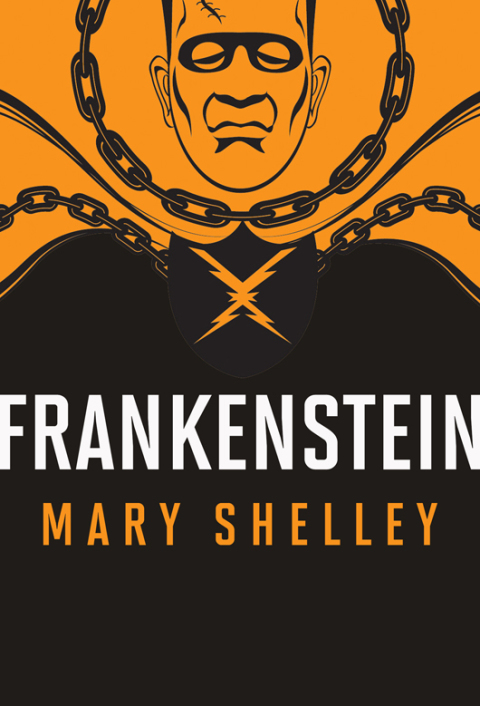 Cover image for book Frankenstein