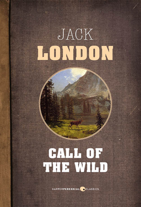 Cover image for book The Call Of The Wild
