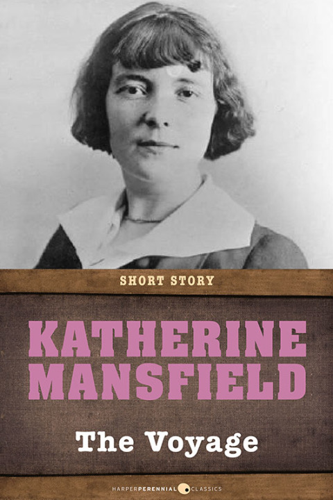 Cover image for book The Voyage