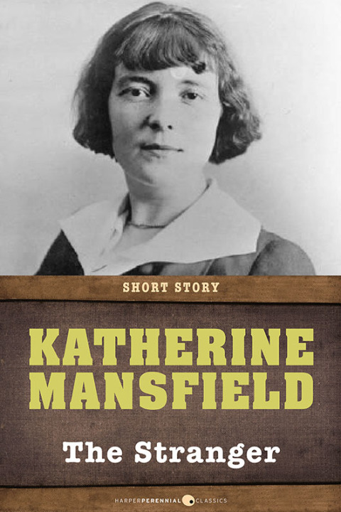 Cover image for book The Stranger