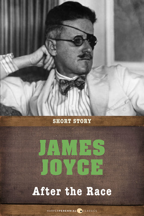 Cover image for book After The Race
