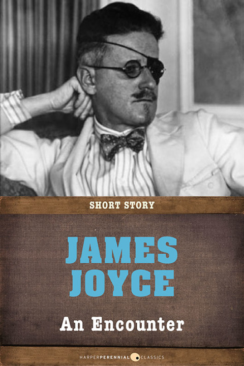 Cover image for book An Encounter