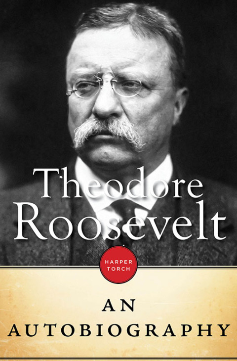 Cover image for book Theodore Roosevelt