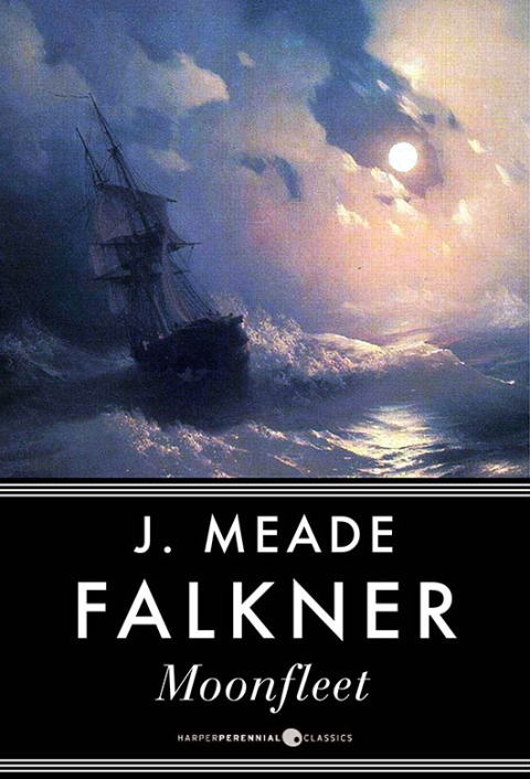 Cover image for book Moonfleet