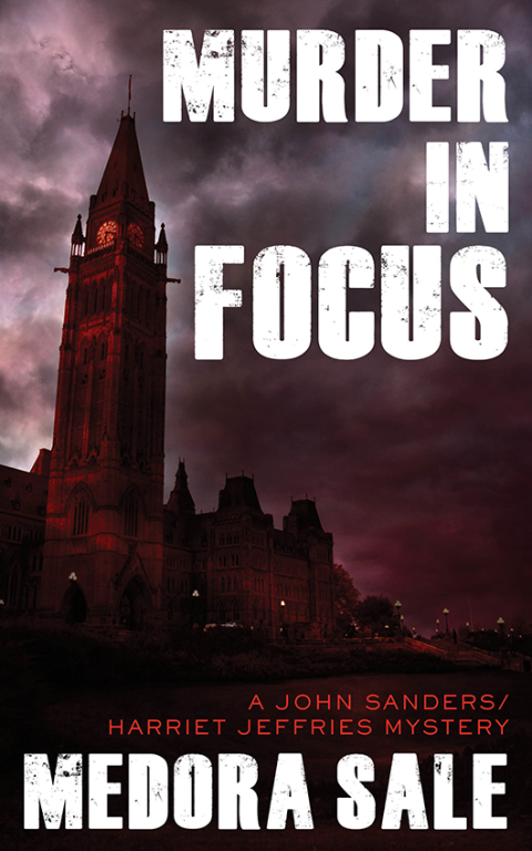 Cover image for book Murder In Focus