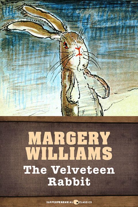 Cover image for book The Velveteen Rabbit