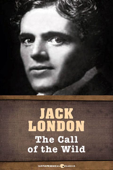 Cover image for book The Call Of The Wild