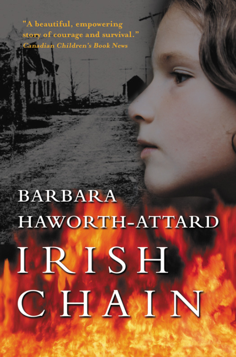 Cover image for book Irish Chain