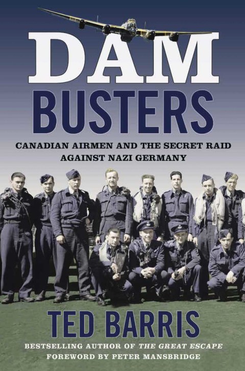 Cover image for book Dam Busters