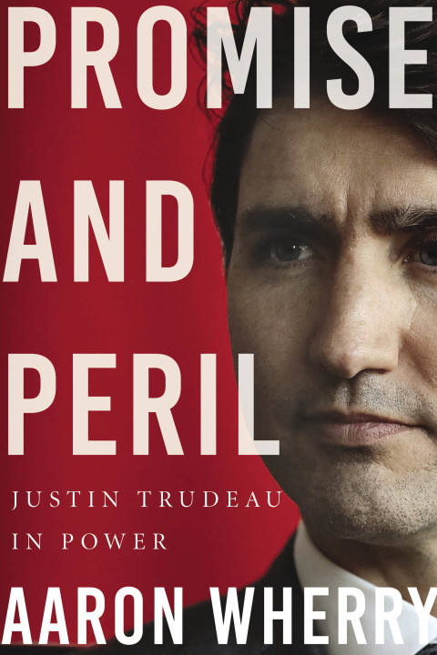 Cover image for book Promise and Peril