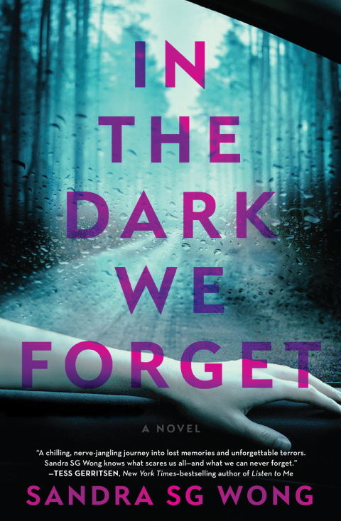 Cover image for book In the Dark We Forget