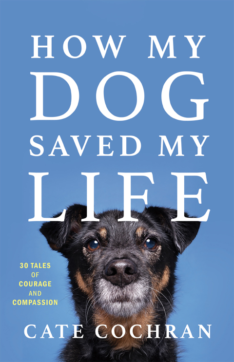 Cover image for book How My Dog Saved My Life