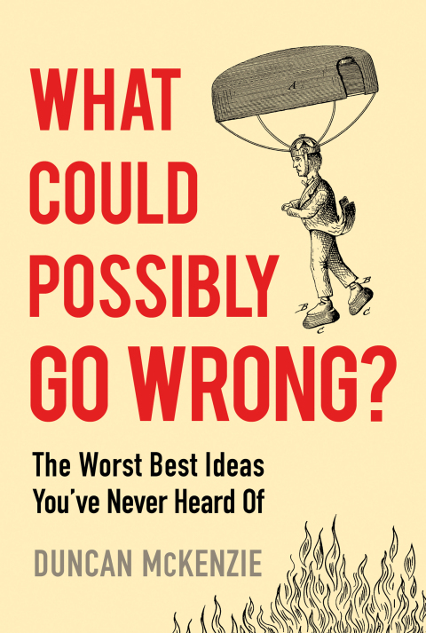 Cover image for book What Could Possibly Go Wrong?