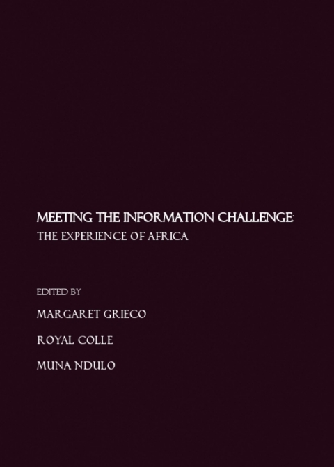Cover image for book Meeting the Information Challenge