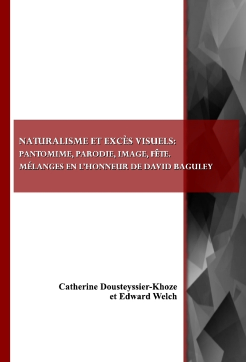 Cover image for book Naturalisme et excès visuels