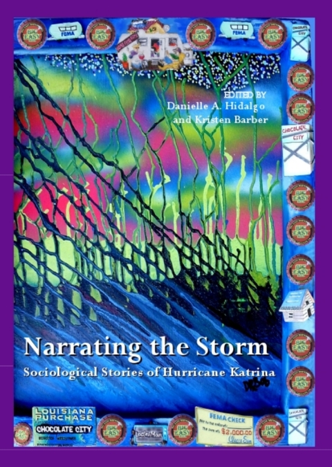 Cover image for book Narrating the Storm