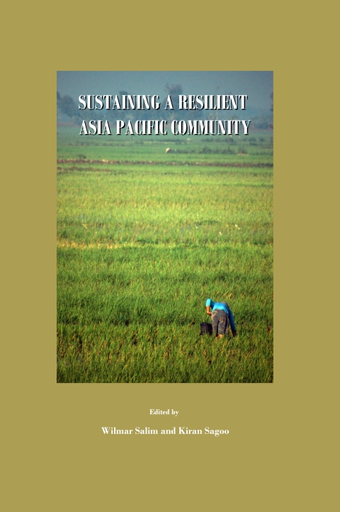 Cover image for book Sustaining a Resilient Asia Pacific Community