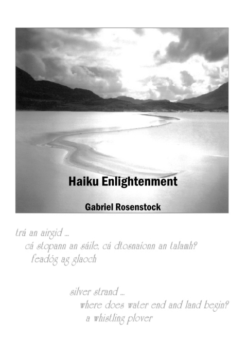 Cover image for book Haiku Enlightenment