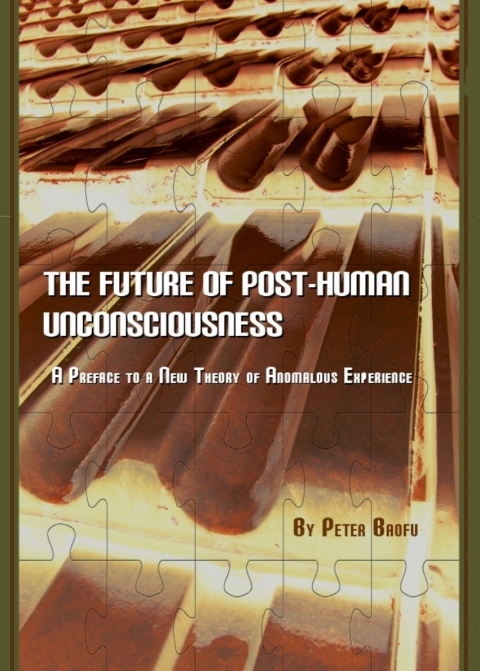 Cover image for book The Future of Post-Human Unconsciousness