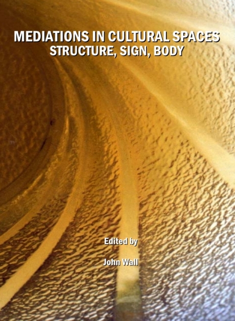 Cover image for book Mediations in Cultural Spaces