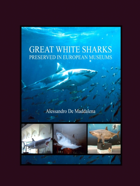 Cover image for book Great White Sharks Preserved in European Museums