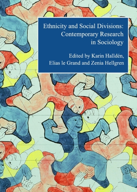 Cover image for book Ethnicity and Social Divisions
