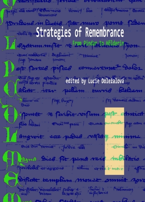 Cover image for book Strategies of Remembrance