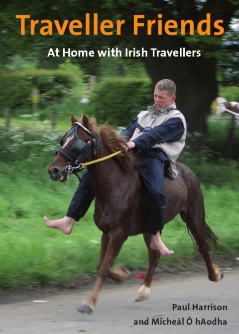 Cover image for book Traveller Friends