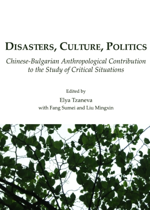Cover image for book Disasters, Culture, Politics