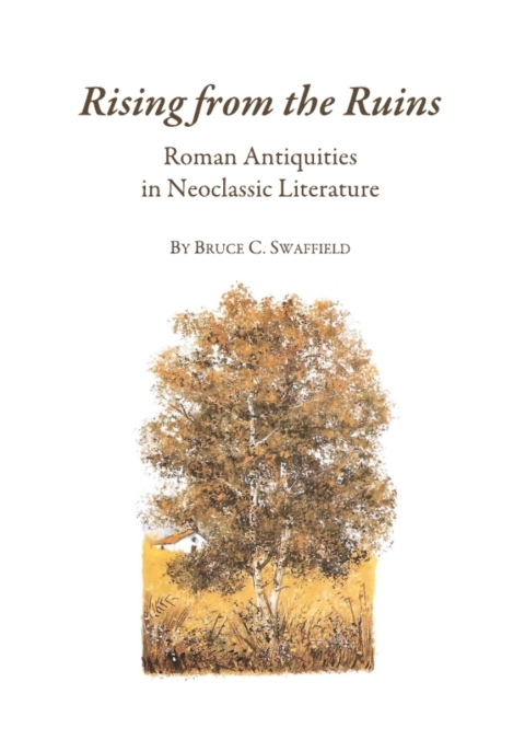 Cover image for book Rising from the Ruins