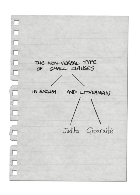 Cover image for book The Non-verbal Type of Small Clauses in English and Lithuanian