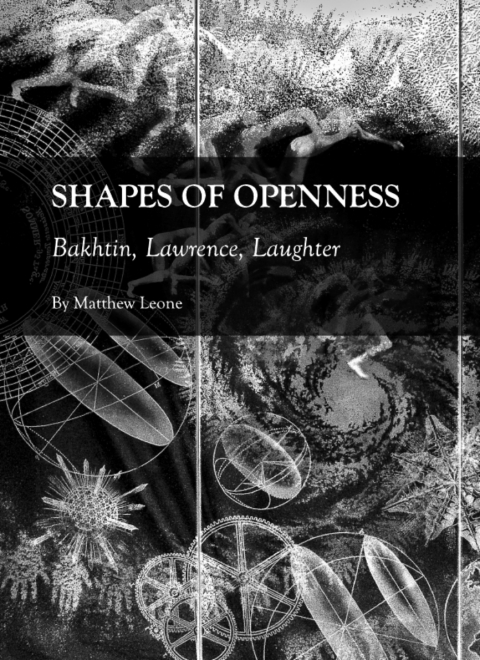 Cover image for book Shapes of Openness