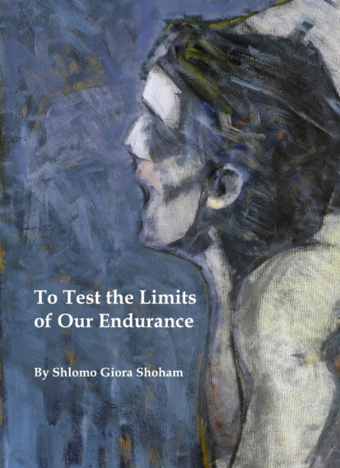 Cover image for book To Test the Limits of Our Endurance