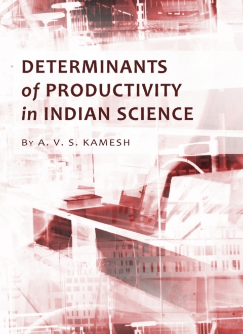 Cover image for book Determinants of Productivity in Indian Science