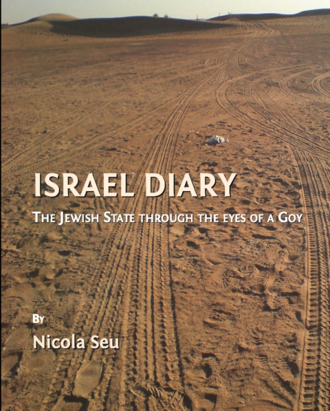 Cover image for book Israel Diary