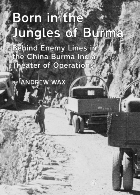 Cover image for book Born in the Jungles of Burma