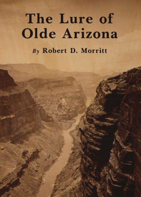 Cover image for book The Lure of Olde Arizona