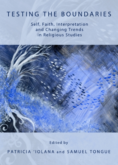 Cover image for book Testing the Boundaries