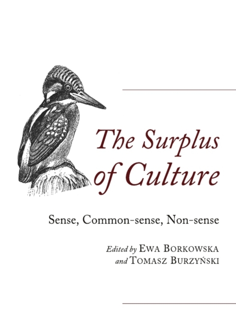 Cover image for book The Surplus of Culture