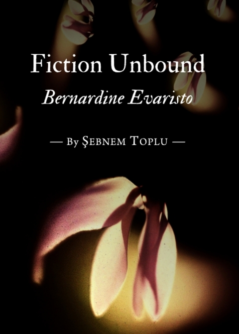 Cover image for book Fiction Unbound